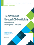 Macro-Financial Linkages in Shallow Markets