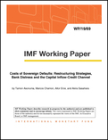 Costs of Sovereign Defaults: Restructuring Strategies, Bank Distress and the Capital Inflow-Credit Channel
