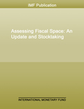 Assessing Fiscal Space
