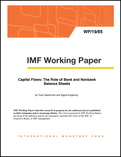 Capital Flows: The Role of Bank and Nonbank Balance Sheets