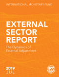 External Sector Report, July 2019