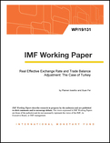 Real Effective Exchange Rate and Trade Balance Adjustment: The Case of Turkey