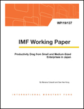 Productivity Drag from Small and Medium-Sized Enterprises in Japan