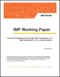 Financial Development, Exchange Rate Fluctuations and Debt Dollarization: A Firm-Level Evidence