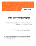 Weather Shocks and Output in Low-Income Countries: The Role of Policies and Adaptation