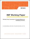 Monetary Policy Transmission in Emerging Markets and Developing Economies