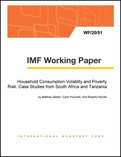 Household Consumption Volatility and Poverty Risk: Case Studies from South Africa and Tanzania