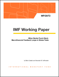 When Banks Punch Back: Macrofinancial Feedback Loops in Stress Tests